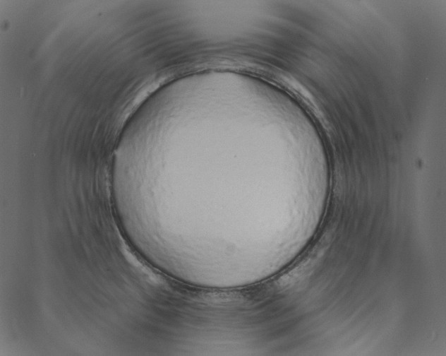 X0000087381433200705181231