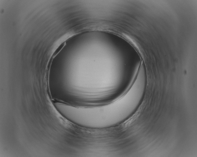 X0000087381434200705181231