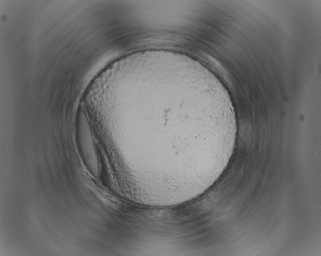 X0000087381435200705181231