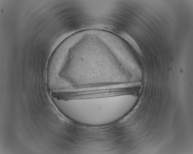 X0000087381436200705181231