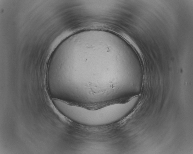 X0000087381437200705181231