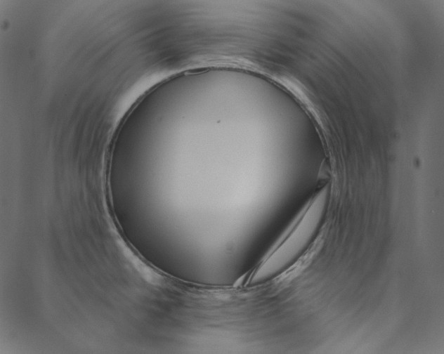 X0000087381438200705181231