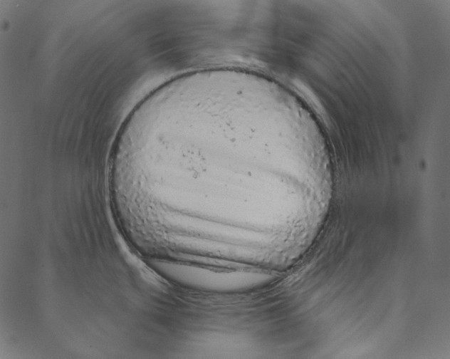 X0000087381439200705181231