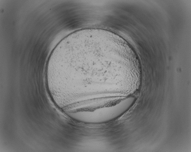 X0000087381440200705181231