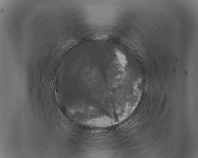 X0000087381441200705181230