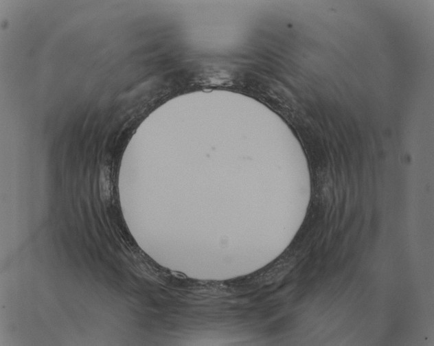 X0000087381442200705181230