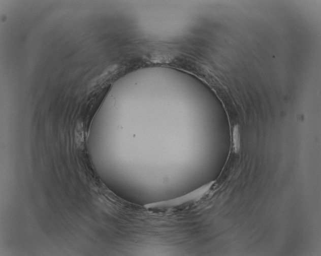 X0000087381443200705181230