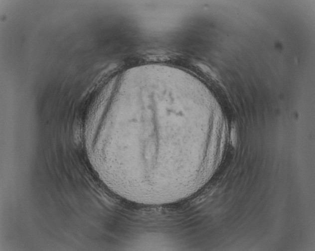 X0000087381444200705181230