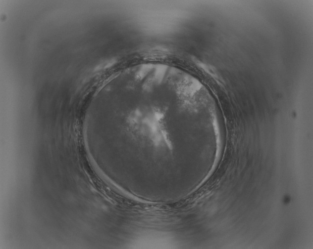 X0000087381445200705181230