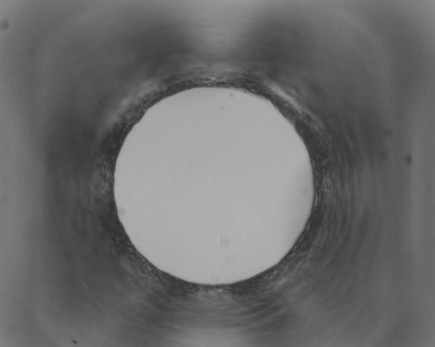 X0000087381447200705181230