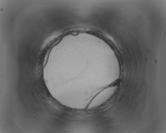 X0000087381448200705181230