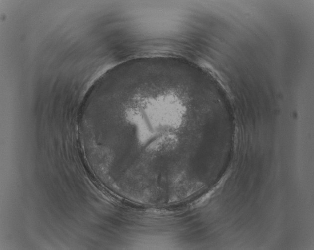 X0000087381449200705181230