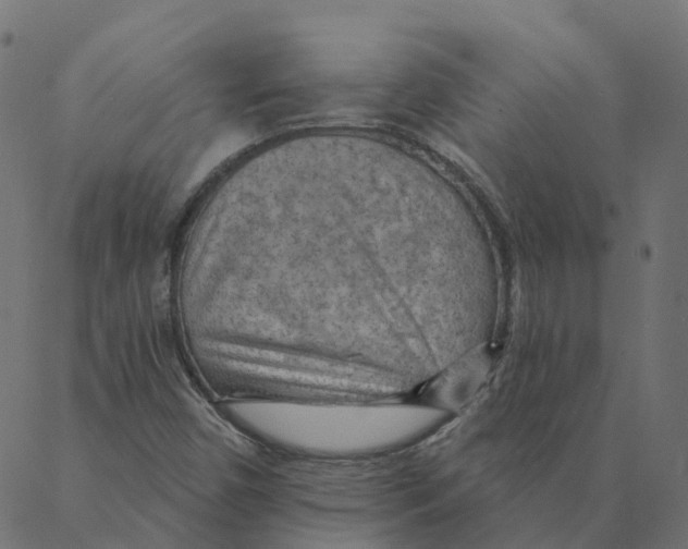 X0000087381450200705181230