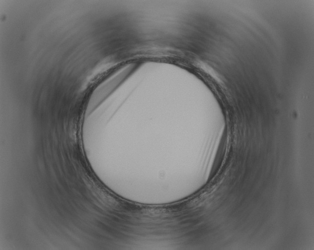 X0000087381451200705181230