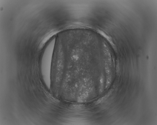 X0000087381453200705181230