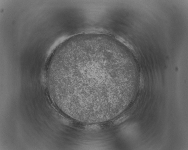 X0000087381454200705181230