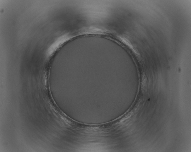 X0000087381455200705181230