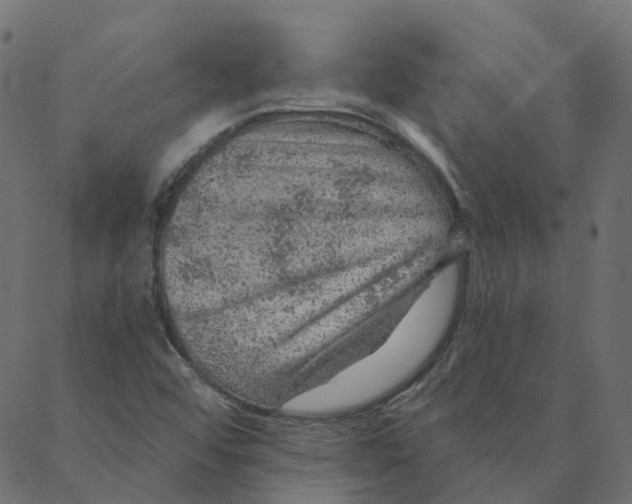 X0000087381456200705181230