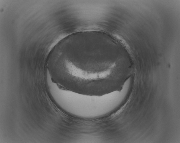 X0000087381457200705181230