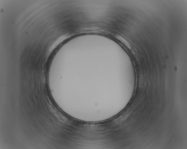 X0000087381458200705181230