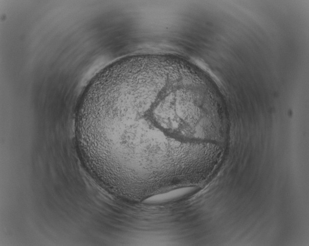 X0000087381459200705181230