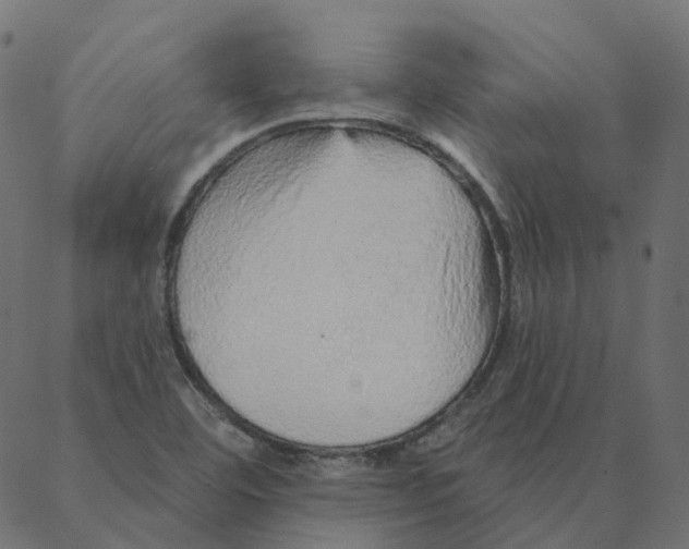 X0000087381460200705181230