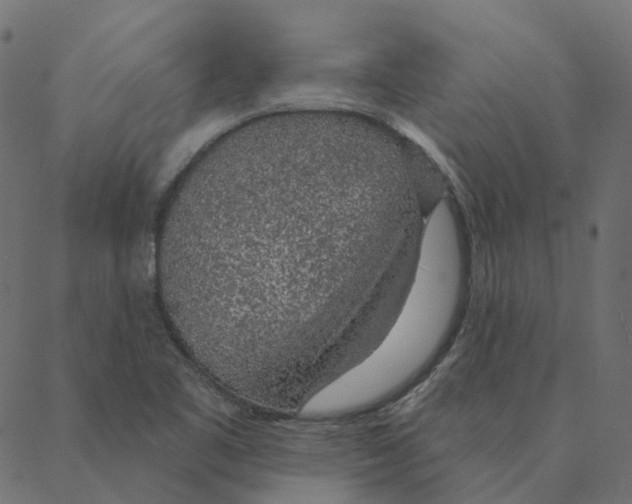 X0000087381461200705181230