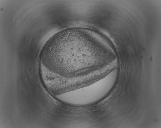 X0000087381463200705181230