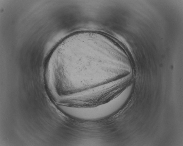 X0000087381464200705181230