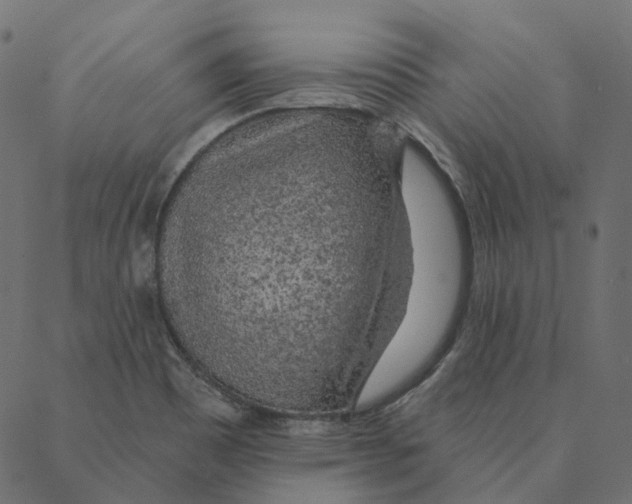 X0000087381465200705181230