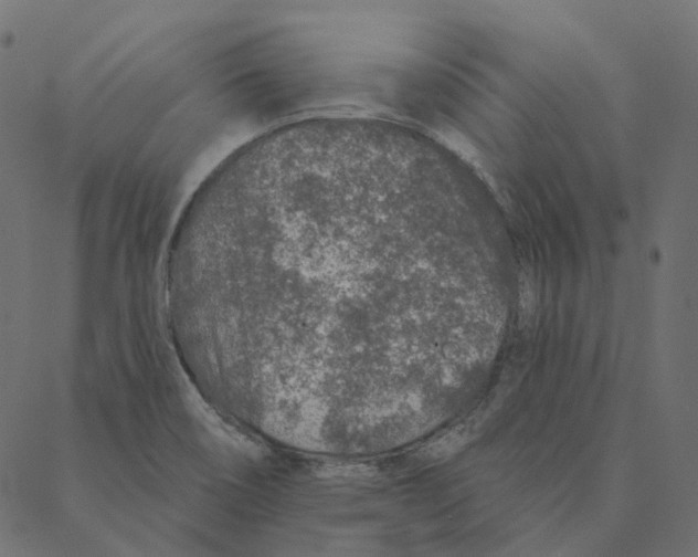 X0000087381466200705181230