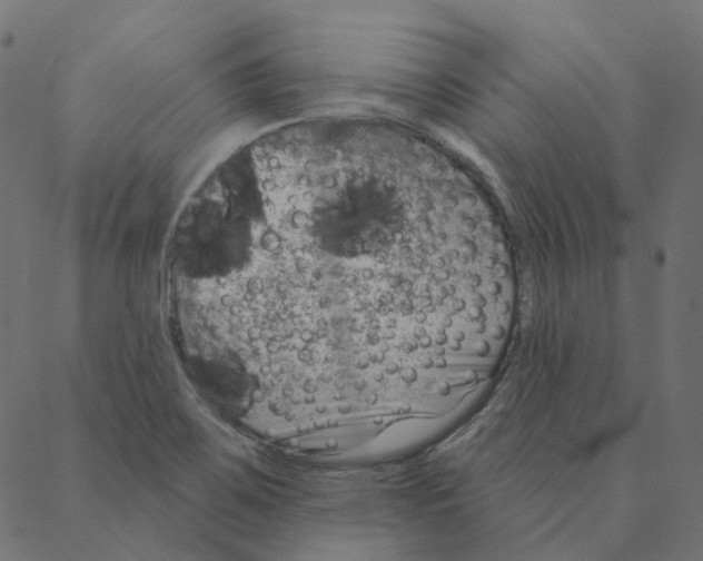 X0000087381467200705181230