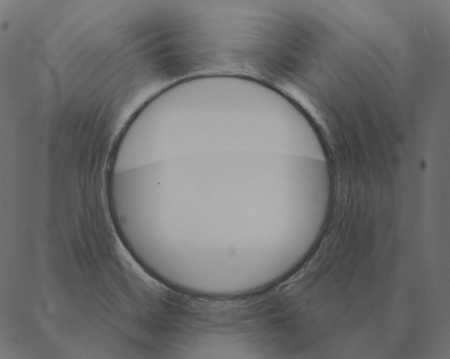 X0000087381468200705181230