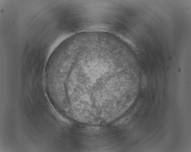 X0000087381470200705181230