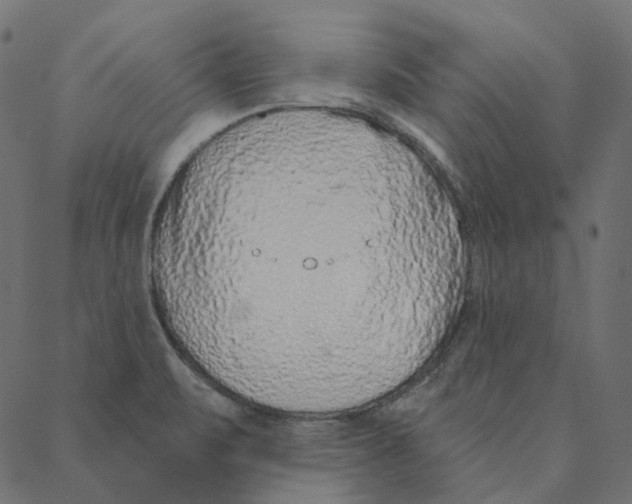 X0000087381471200705181230