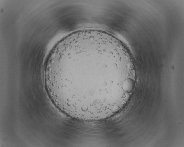 X0000087381472200705181230