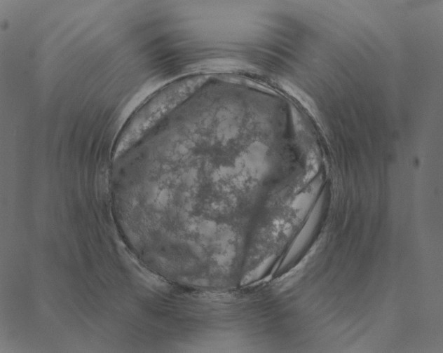 X0000087381473200705181230