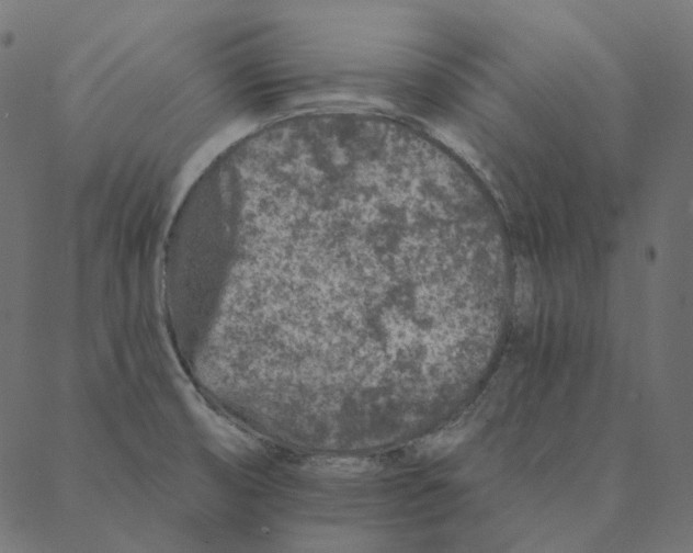 X0000087381474200705181230