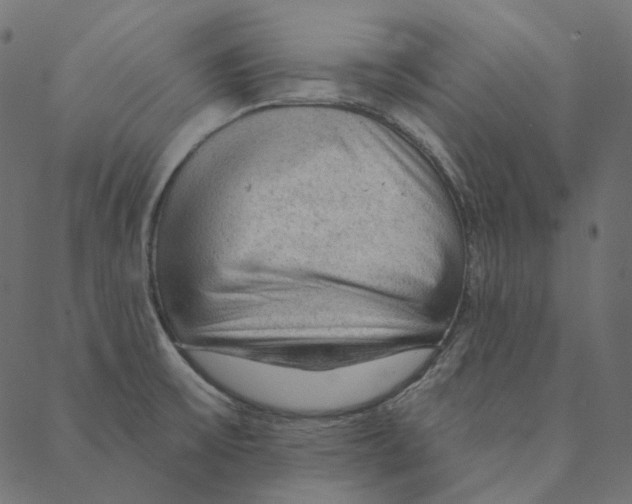 X0000087381475200705181230