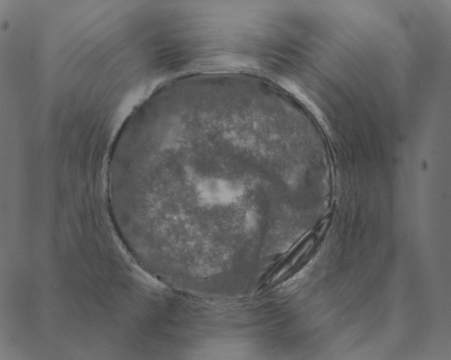 X0000087381477200705181230