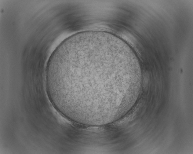 X0000087381478200705181230