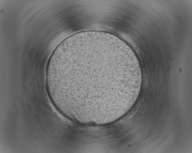 X0000087381479200705181230