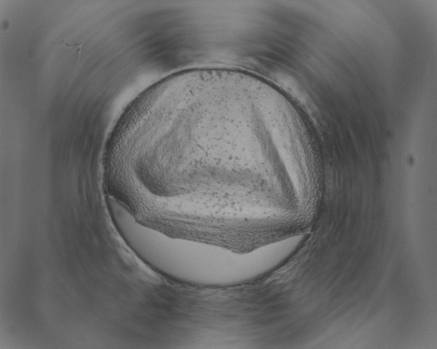 X0000087381480200705181230