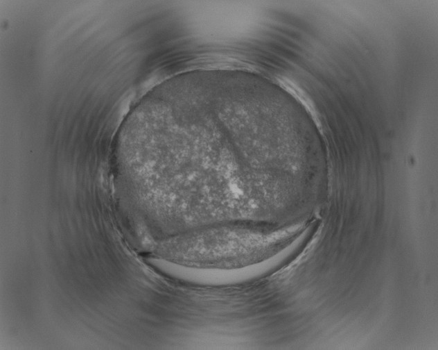 X0000087381481200705181230