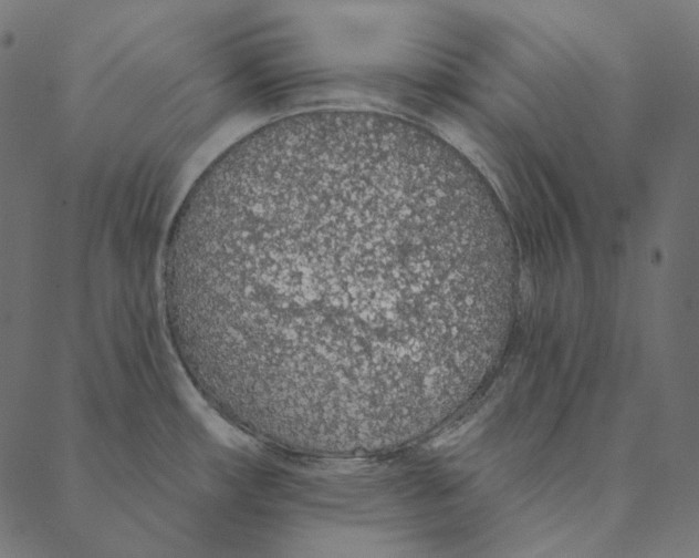 X0000087381482200705181230