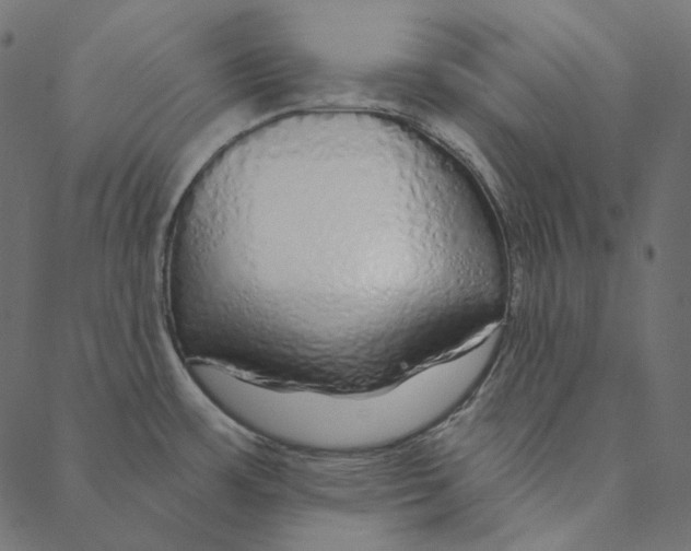 X0000087381483200705181230