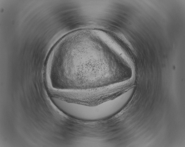 X0000087381484200705181230