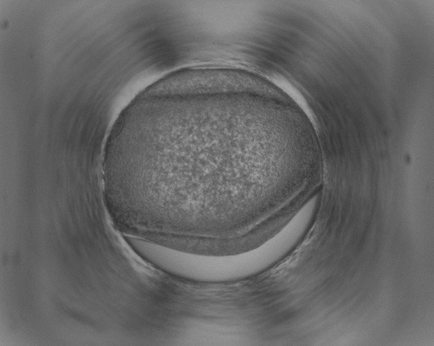 X0000087381485200705181230