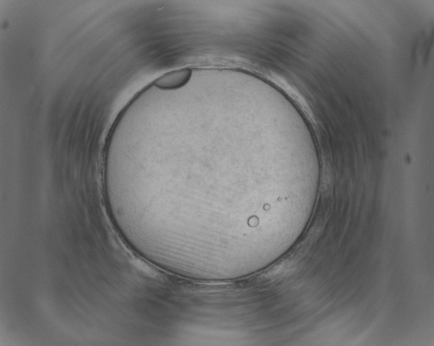 X0000087381486200705181230