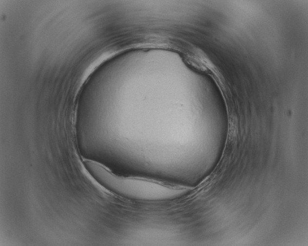 X0000087381487200705181230